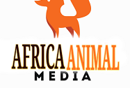 Africa Animal Media